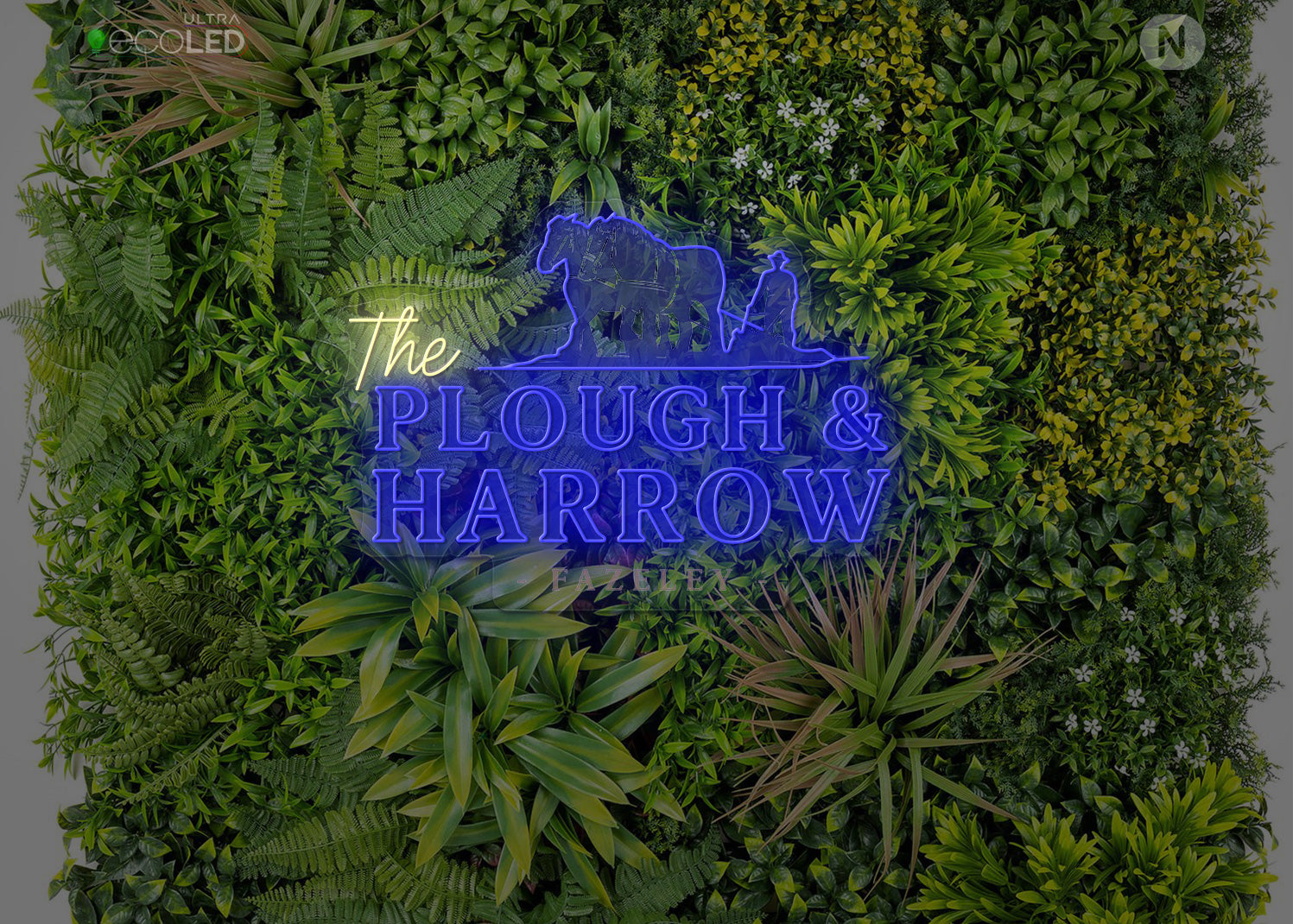 Custom Neon Sign