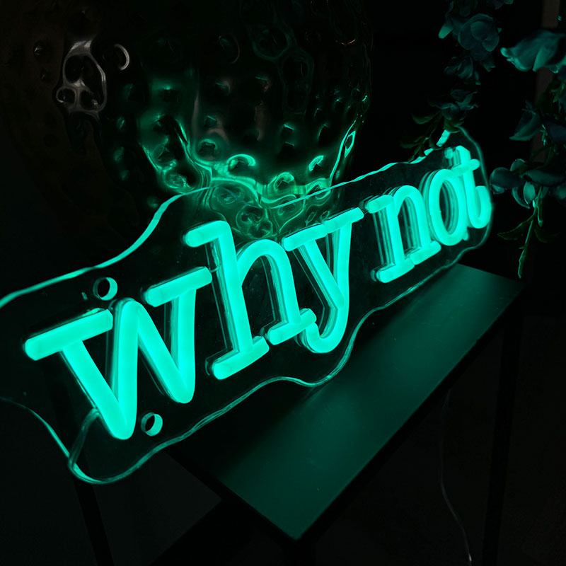 Neon Sign Why Not