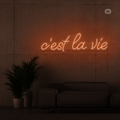 Neon Sign c'est la vie