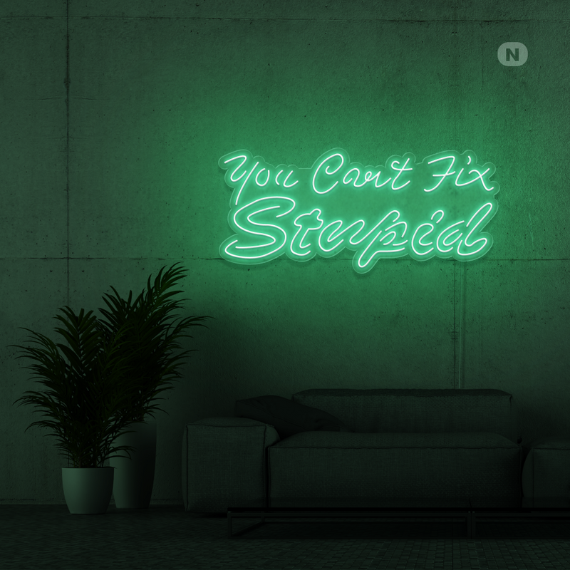 Neon Sign you can't fix stupid