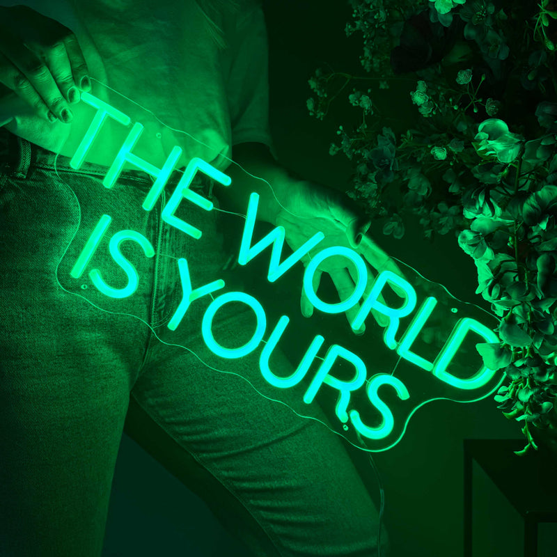 Neon Sign The World Is Yours