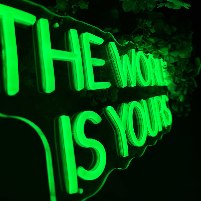 Neon Sign The World Is Yours