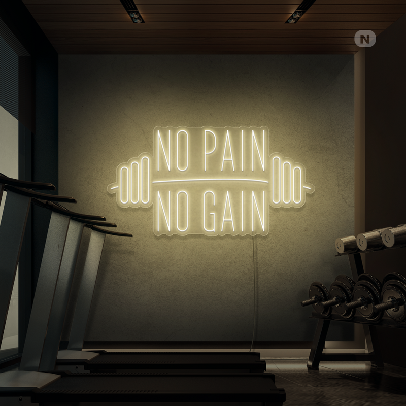 Neon Sign No Pain No Gain